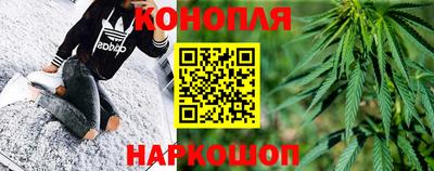 сатива Нальчик