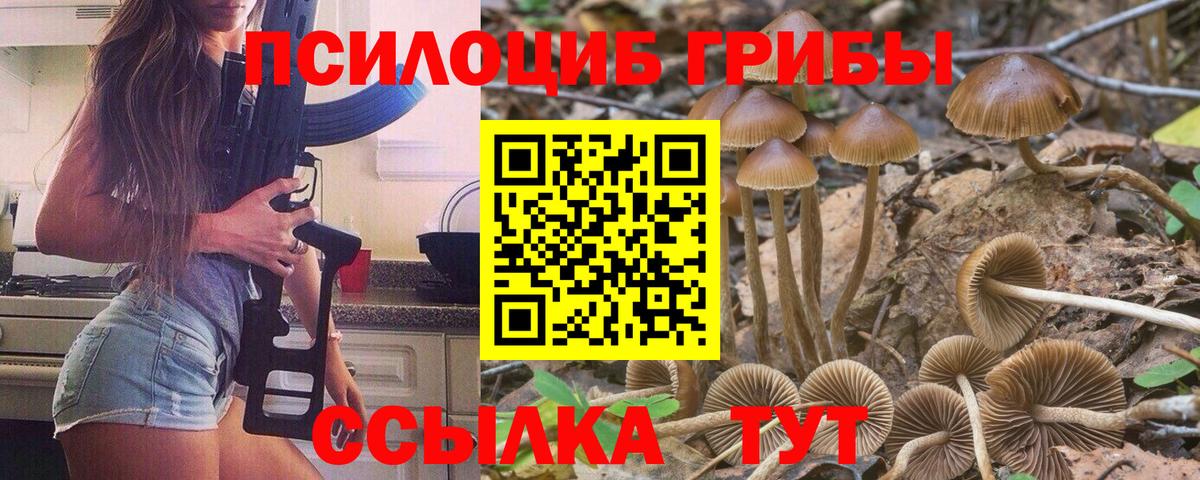 Галлюциногенные грибы мухоморы Стрежевой